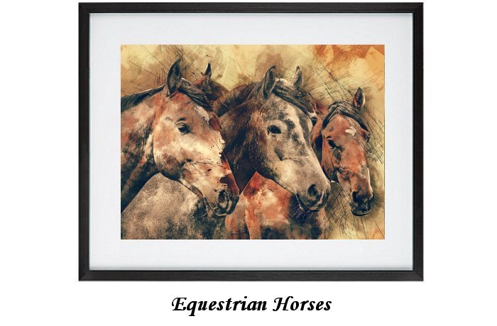 Equestrian Horses
